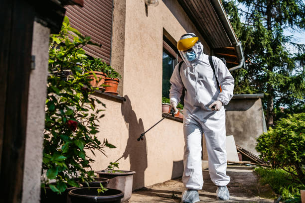 Best Pest Control for Restaurants  in Monument, CO