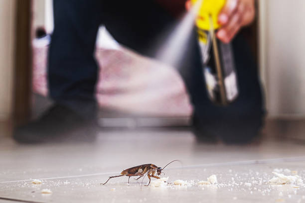 Best Pest Prevention Services  in Monument, CO