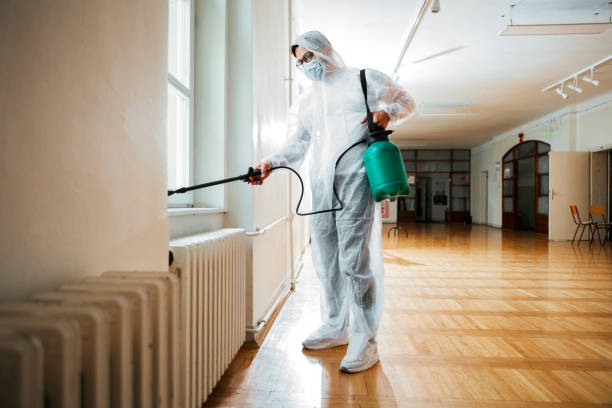Best Local Pest Control Services  in Monument, CO